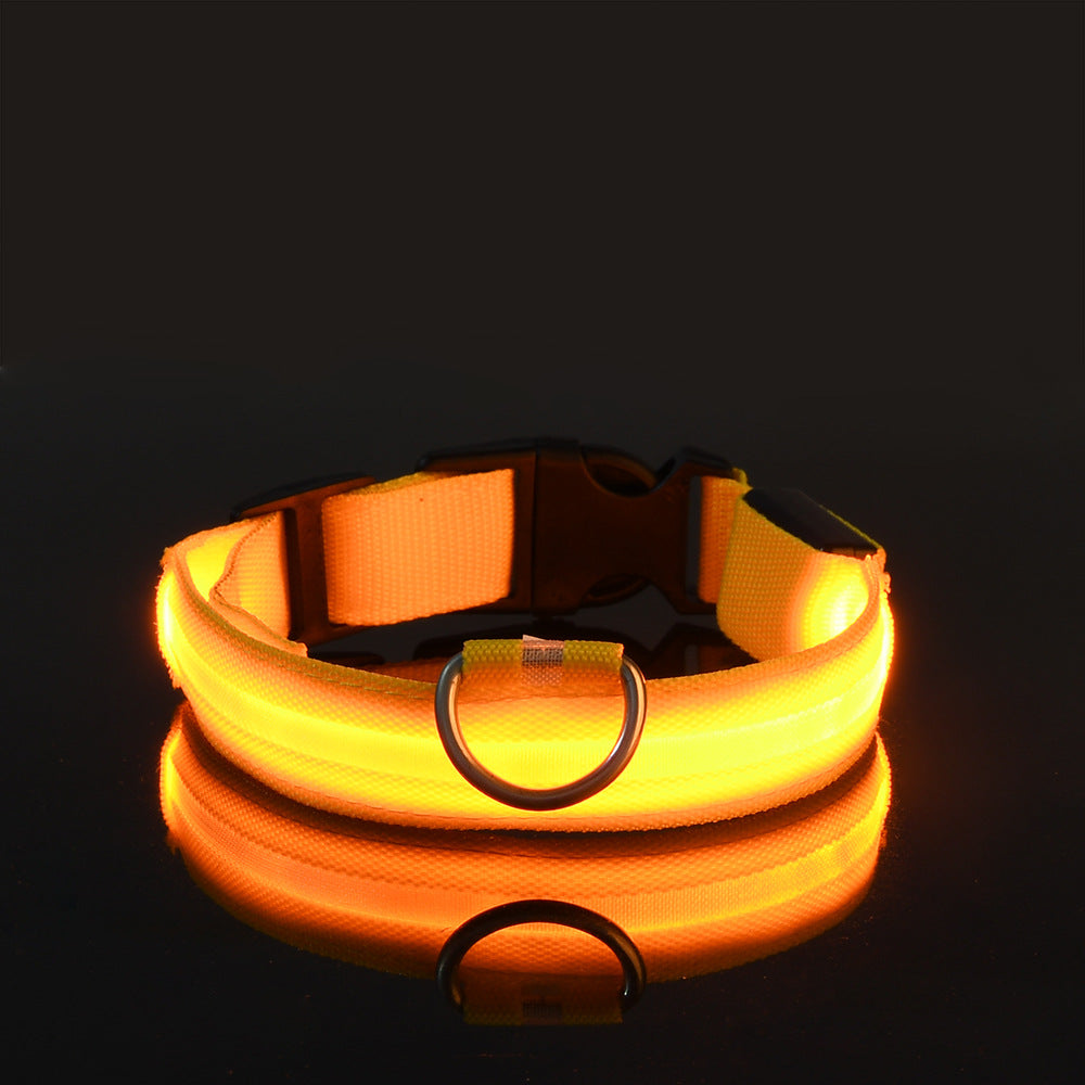 LED nylon dog leash