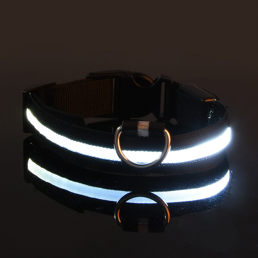 LED nylon dog leash