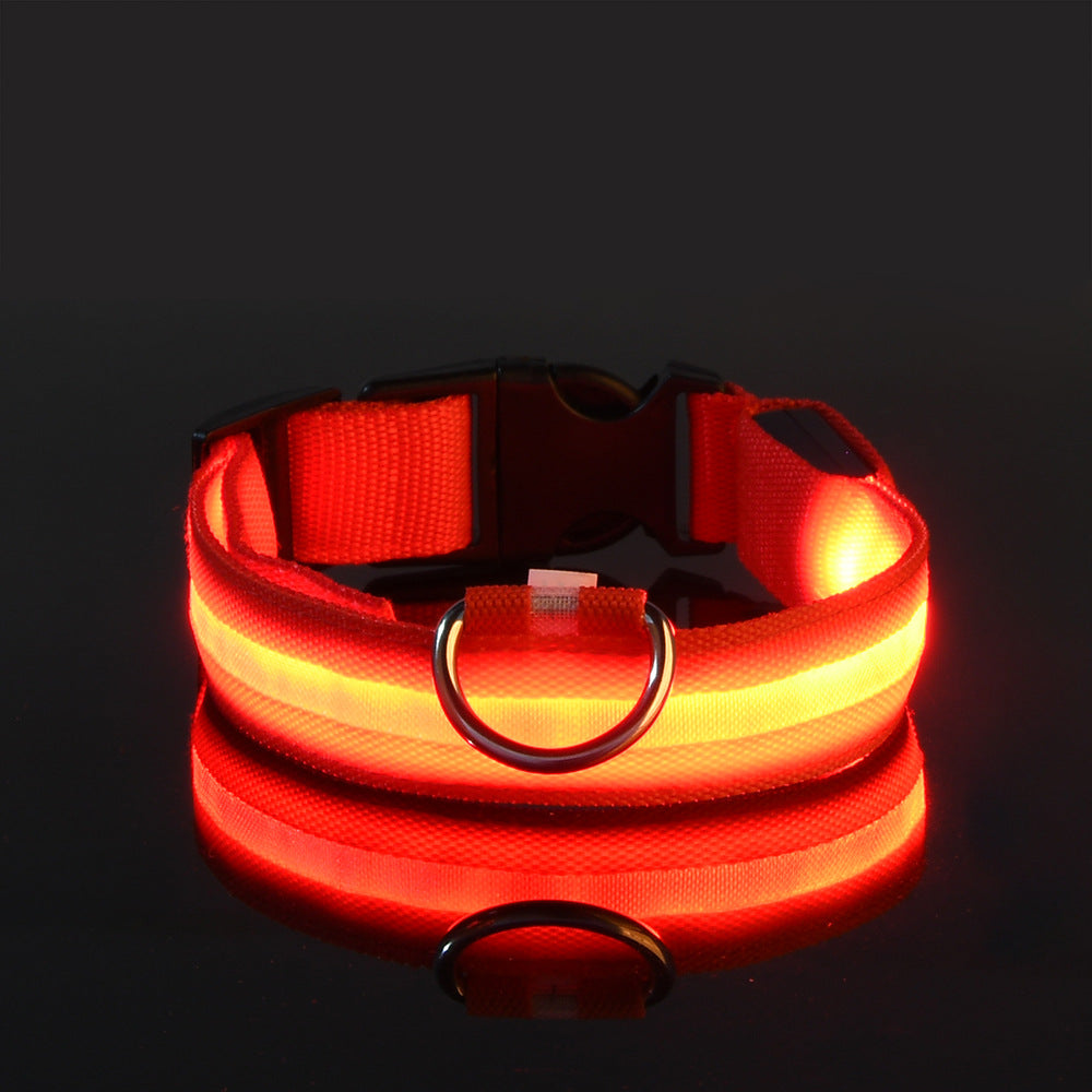 LED nylon dog leash