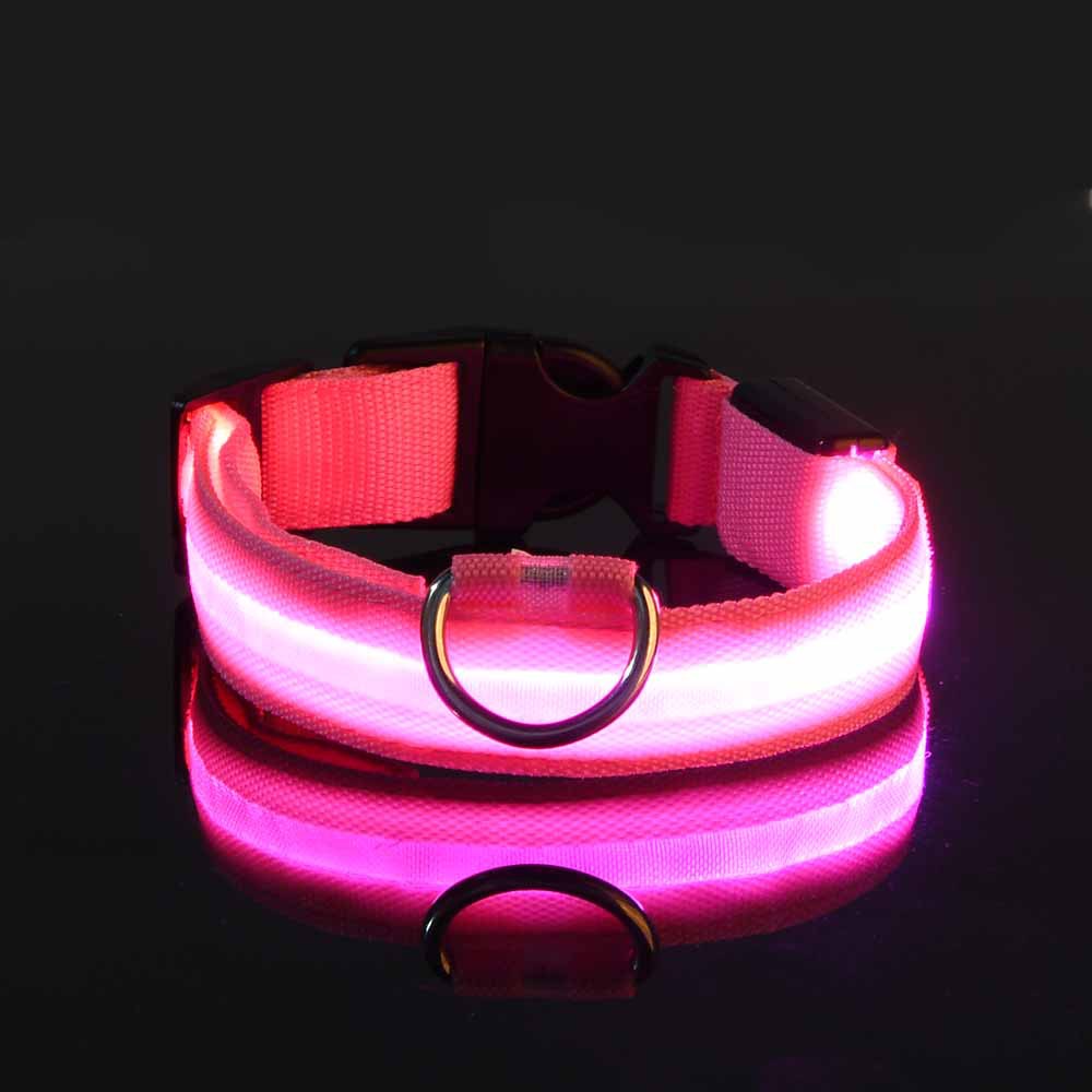 LED nylon dog leash