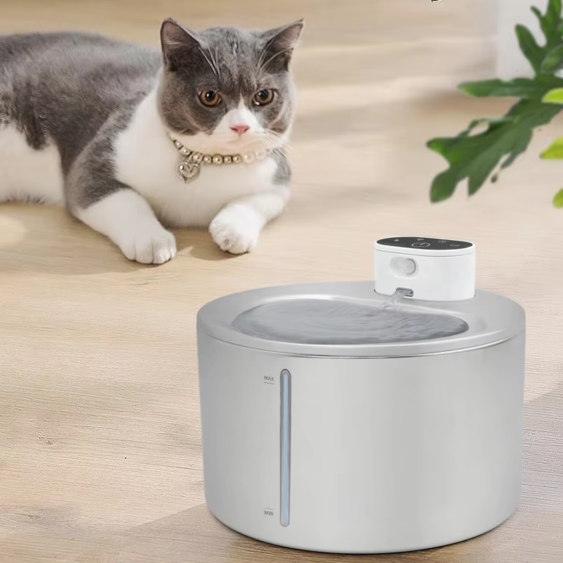 Pet water dispenser automatic