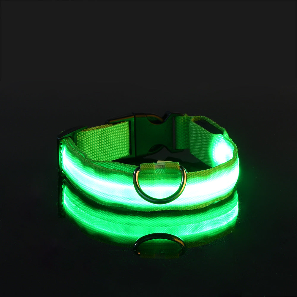LED nylon dog leash