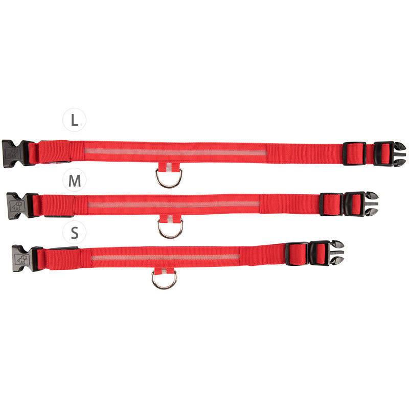 LED nylon dog leash