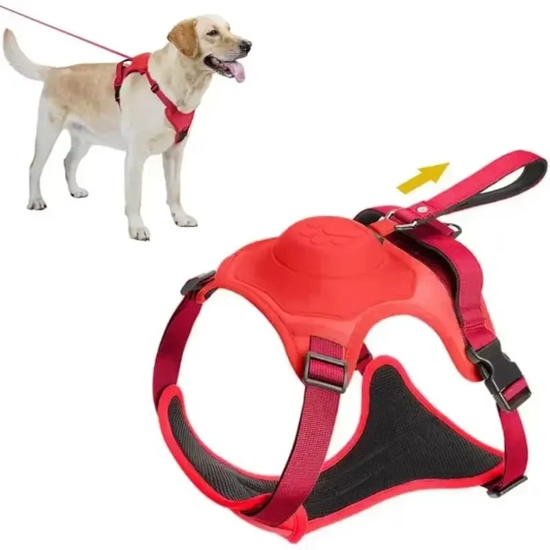 Dog harness with retractable lead