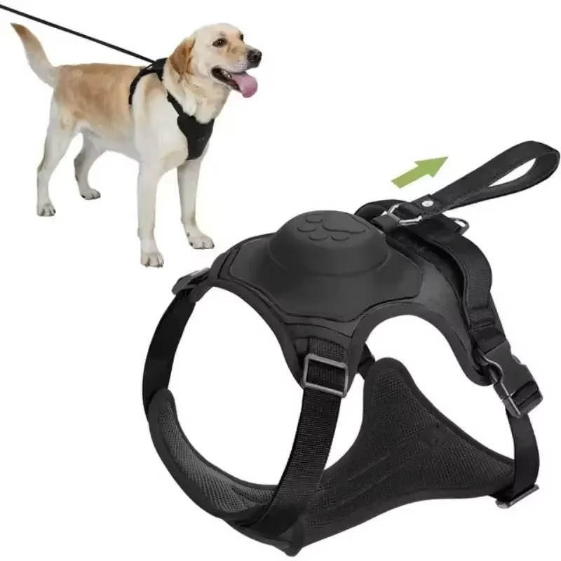 Dog harness with retractable lead