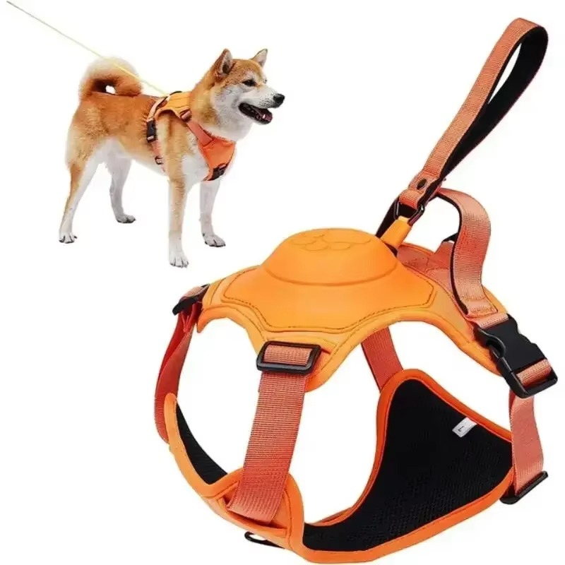 Dog harness with retractable lead