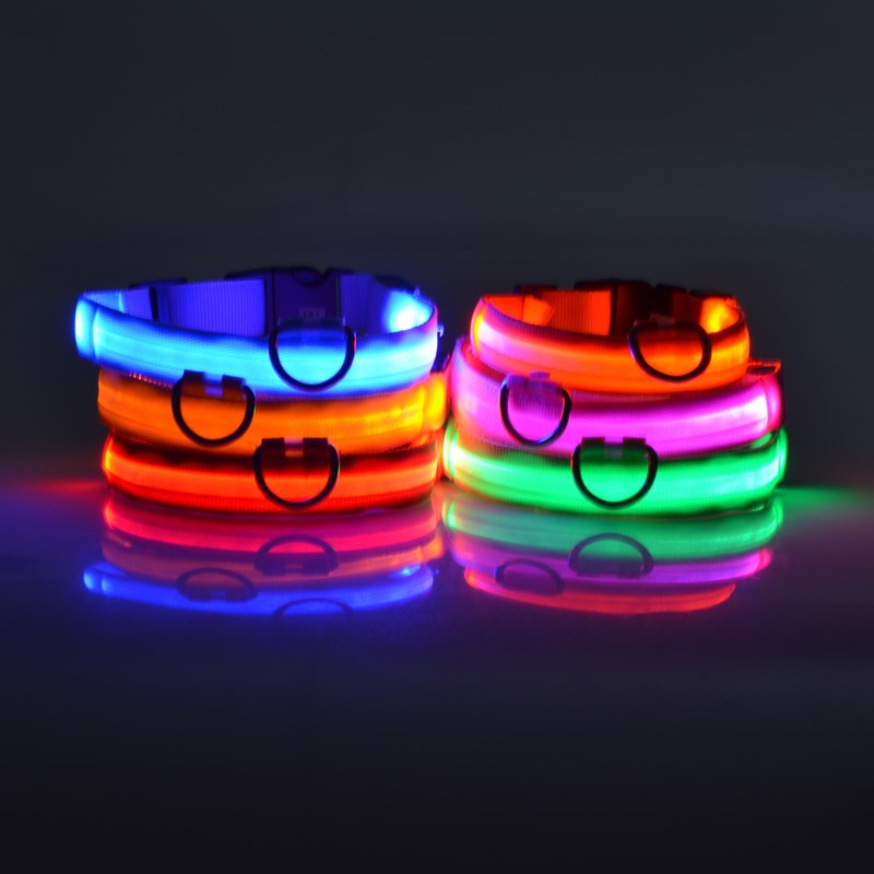 LED nylon dog leash